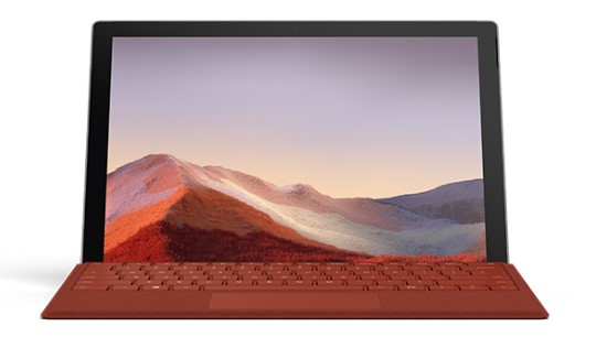 仁化清洁和维护 Surface